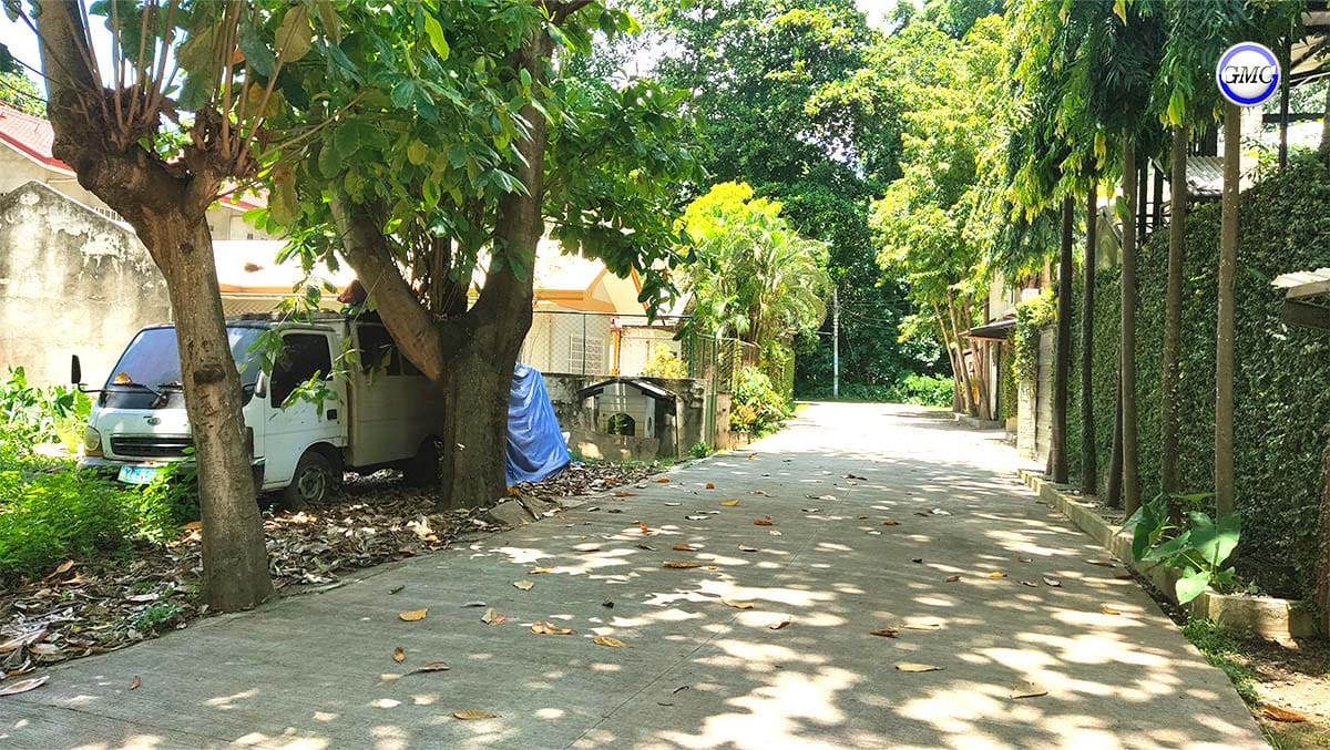 Sag tibasak gmc arka 02 Sag tibasak gmc arka 02