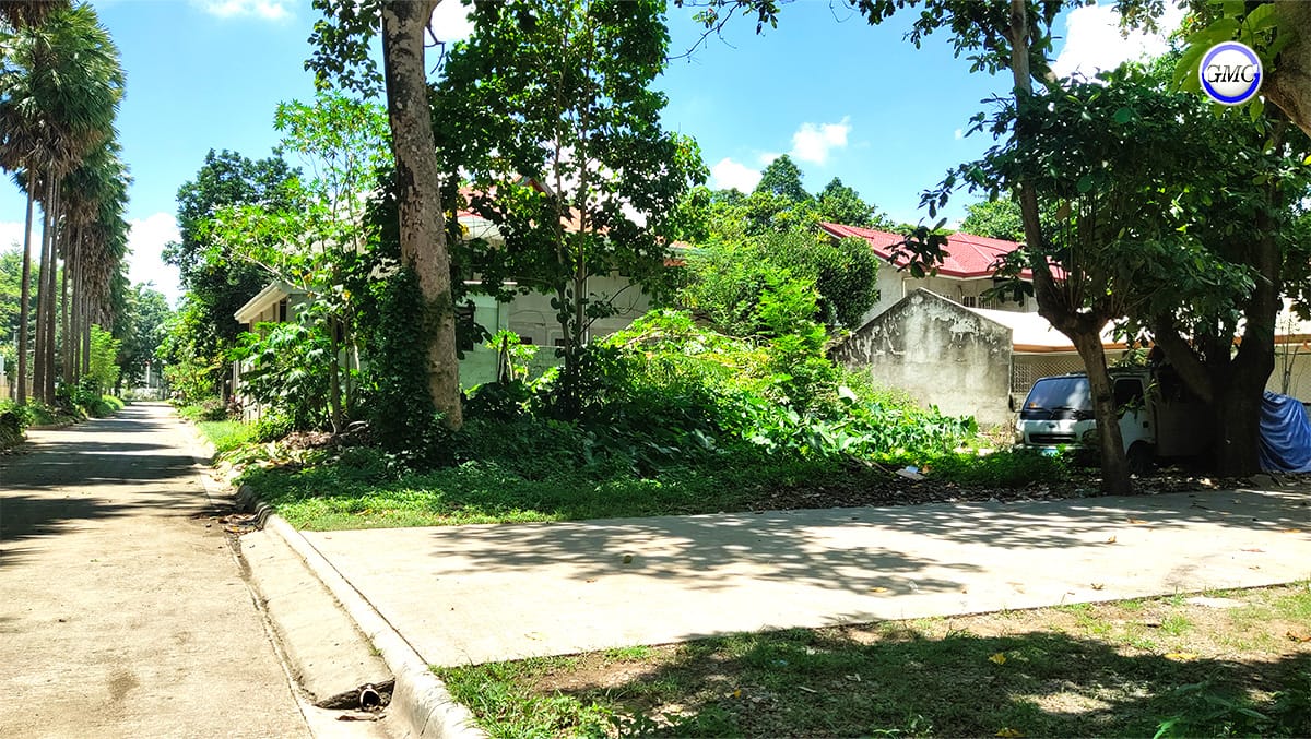 Sag tibasak gmc arka 03 Sag tibasak gmc arka 03